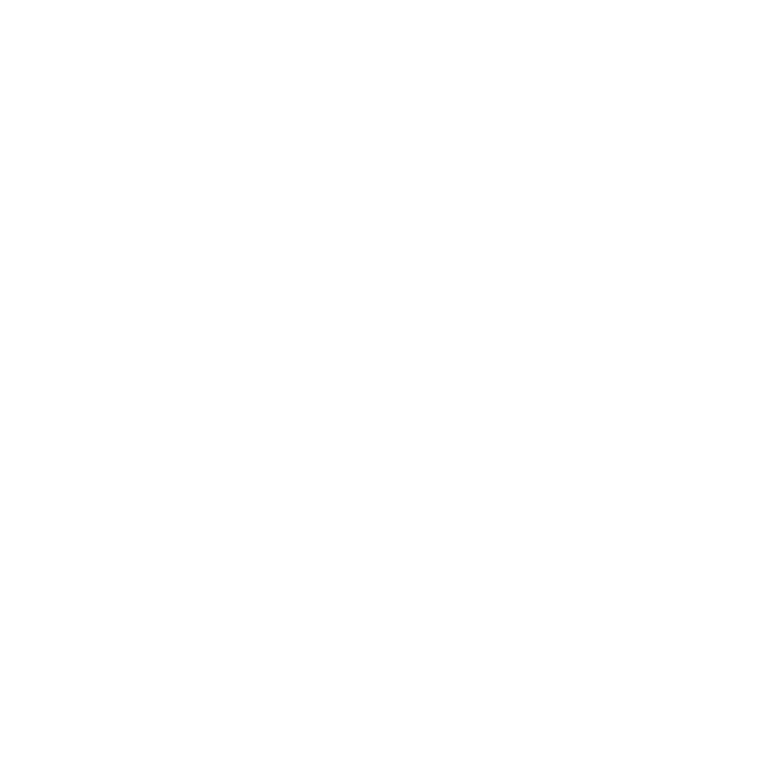 Burning Nerds Network Logo